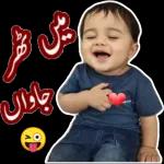 السلام علیکم!
 