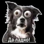 Новые 25