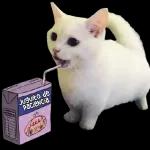 Cuidado con el Hambreado