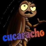 cucaracho