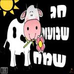 שבועות