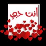 انت حبي