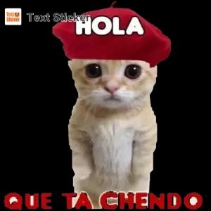 HOLA QUE TA CHENDO - getsticker.com