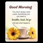 woohoo INGENILE IMALI!!