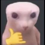.xd