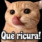 No me provoques prro