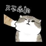 愛撒嬌的奶油小生 (虎斑貓)