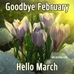 bye February hello March