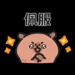 小水豚們的熱血應援