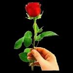 you so charming!❤️