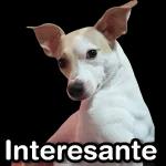aviso importante