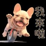 傻萌小法鬥