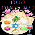 יאיר רומר כאור החמה