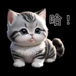 可愛的小貓!
