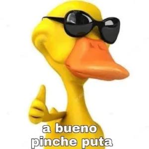 P2TSKq