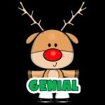 Feliz Navidad