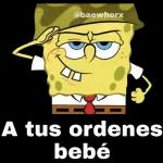 MIS