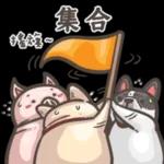 法鬥皮古-豬朋狗友