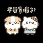 Hello Kitty 50週年 x 天竺鼠布丁 溫暖日常