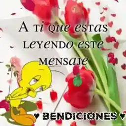Hola de bañar