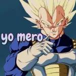 MI PAQUETE25