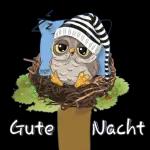 Gute Nacht