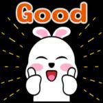 兔仔祝你日日開心！🐰