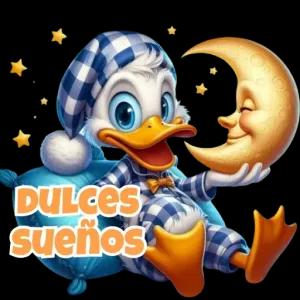 QOXE8Y