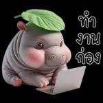 หมูดุ้งฮิปโปตัวกลมใบไม้