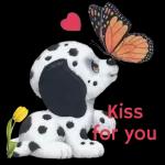 STOP
STOP SENDING KAK!!!