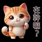 呆萌小橘貓-2