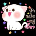 เครื่องมือในการค้นหาผัวอย่างง่ายดาย~~