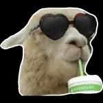 Leyendo tus mentiras