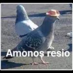 Enterado