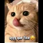 Que hoy sea Un Dia Maravilloso