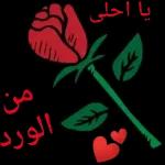 ربي يحفظـك ويسعـــدك