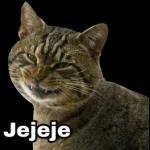 Stickers de gatos