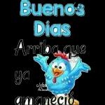 Buenos Días