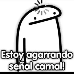 Estoy agarrando señal carnal! - getsticker.com