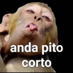 jpvXOS