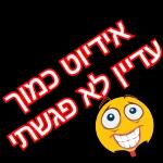 אנה איגולניקוב