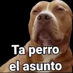 Ta perro el asunto