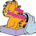 Buenos días 