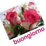 Ogni giorno è un dono di Dio Buongiorno