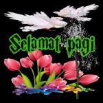 Ini group yg coment cuma kalian" aja Yg lain kemana.