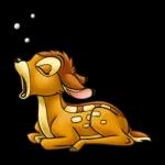 Bambi❤️❤️❤️