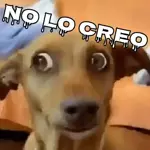 ytfji