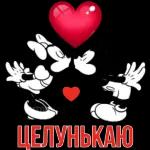 Спокойной ночи!