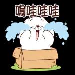 貓咪朋友 Ｑ萌可愛