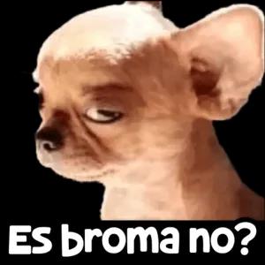 Es broma no? - getsticker.com